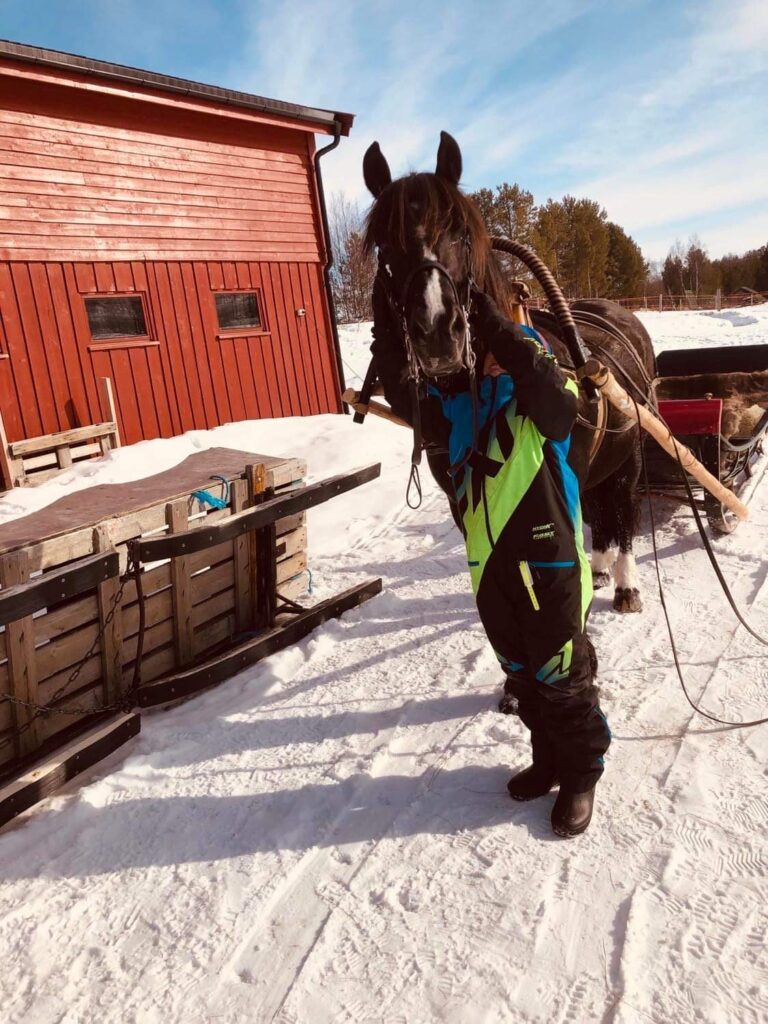 En mann med en hest og en slede i vinterføre.