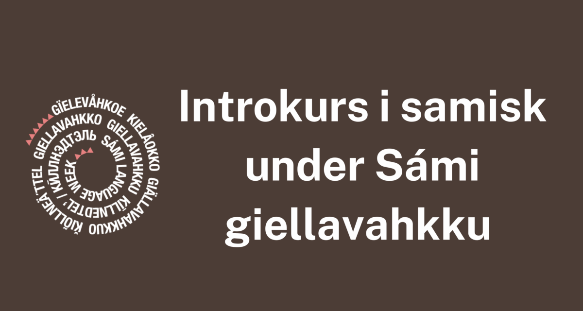 Introkurs i samisk under Sámi giellavahkku