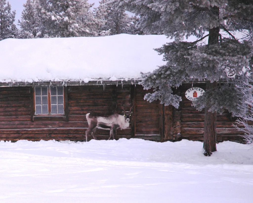 The forest lodge in winter 2014.