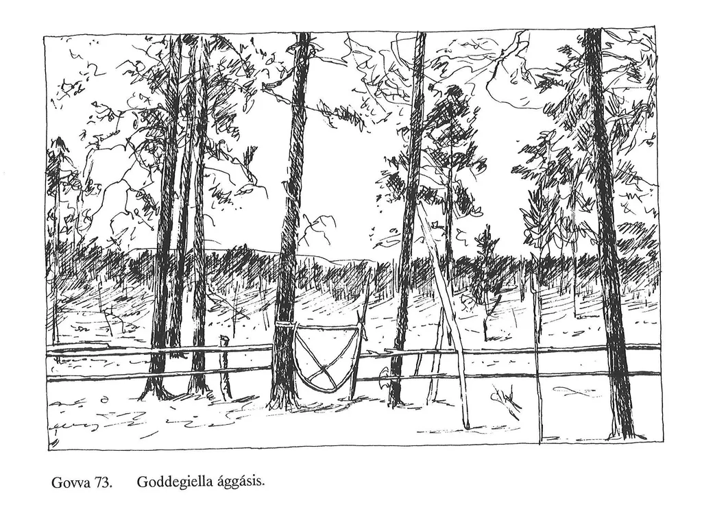 Illustrasjon av port med snare . Samuli Aikio (1992),