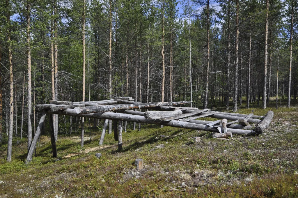 Et stort stativ for saging.