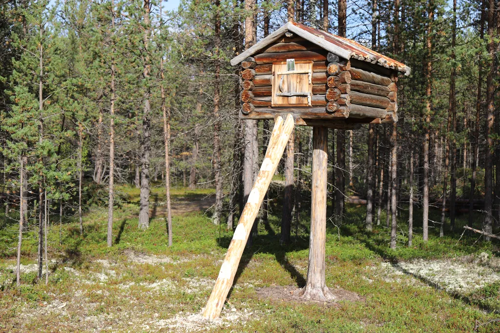 Uthus på påle på utemuseet i 2020.