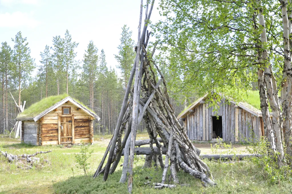 Reisved på Rántet, plassen der man hogger og sager ved.